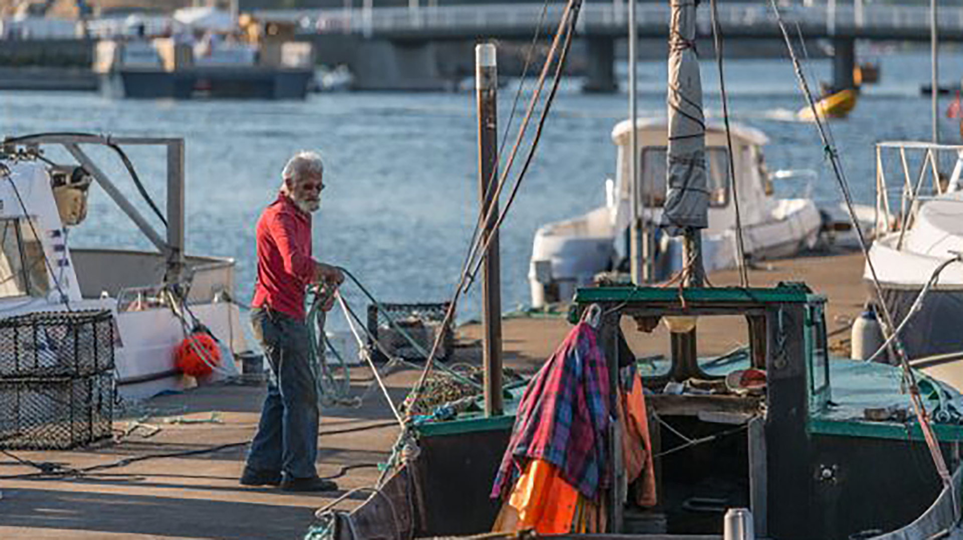 Normal Brygga For Den Aktive Fisker 100714 9916