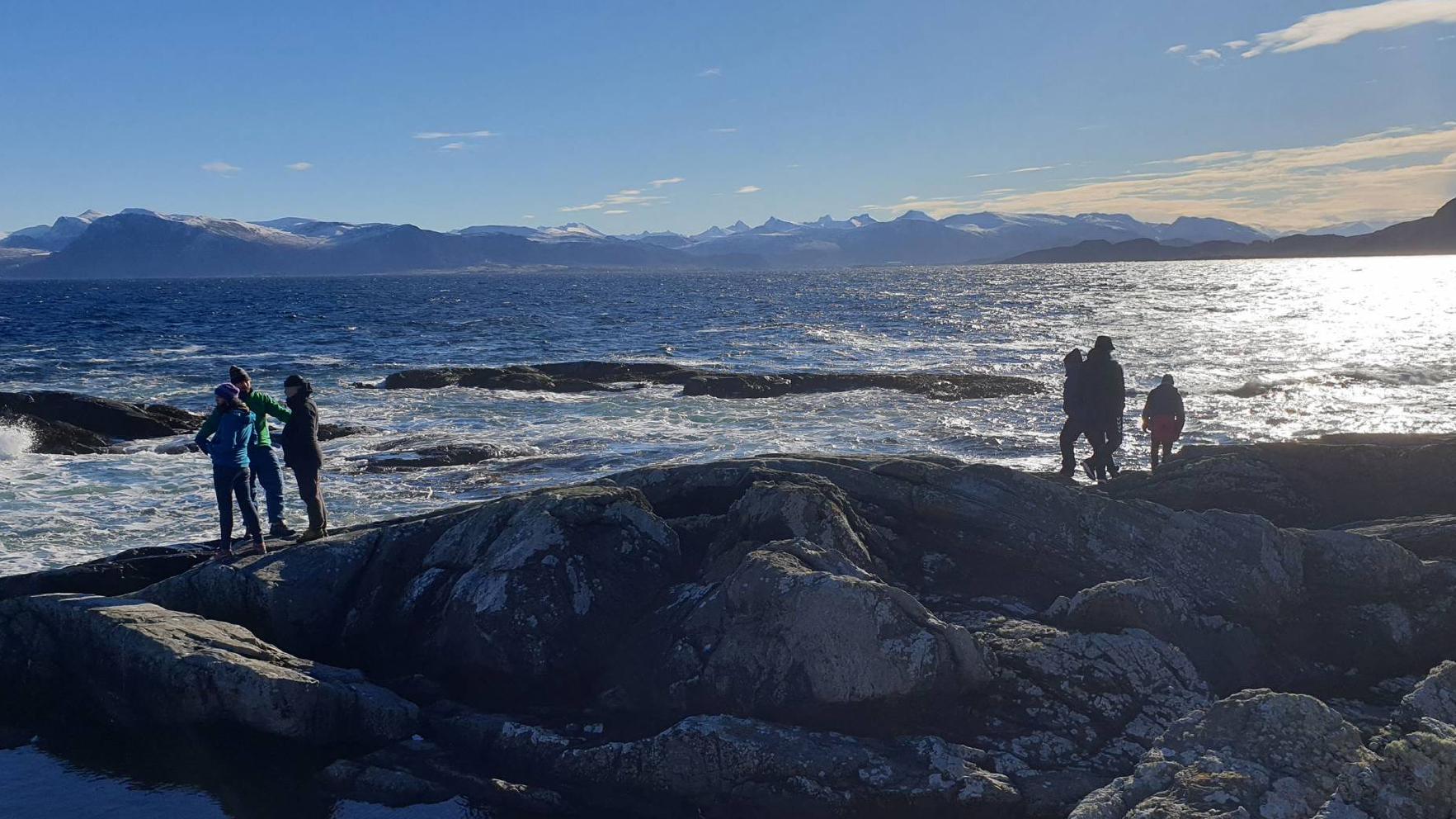 Tang- og skjellsafari